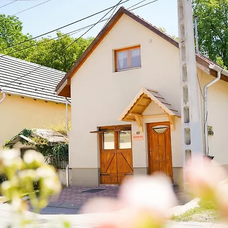Borház